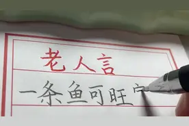 家里养鱼忌讳，养几条鱼最好？养鱼数量大有讲究。手写视频封面