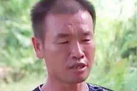 男子家的猪肚子里长了个带毛圆球，村民说是猪砂，跟牛黄一样宝贵视频封面