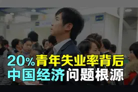 20%的青年失业率背后隐藏着什么？国内经济出现了哪些问题？视频封面