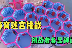 蜂窝迷宫挑战，参赛者各显神通，你能想到的过关方式是什么呢？视频封面
