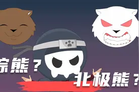 喵地瓜：动物园怎么这么多奇怪的规则？怕冷的北极熊你见过么？视频封面