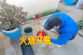 准备了4个红色的白酒瓶子，用火烧的方法，能做成几个花盆？视频封面