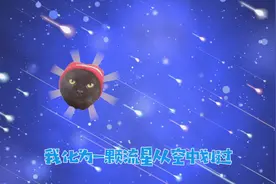 谁说猫咪摔不死？其实最高只能承受这么高，铲屎官们要小心！视频封面
