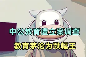 中公教育遭立案调查，教育茅沦为跌幅王视频封面