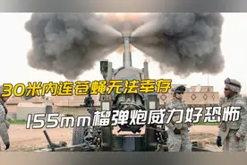 30米内连苍蝇无法幸存，50米内所有人都内伤，155mm榴弹炮好恐怖视频封面