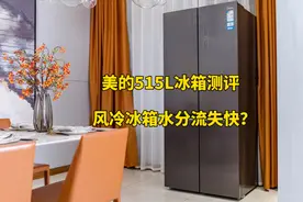 美的515L冰箱测评：风冷冰箱水分流失快？黄瓜第二天还能接着用