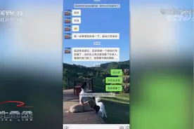 男子斑马线撞飞骑车女子后逃回家 微信群淡定咨询：无证撞人咋办视频封面