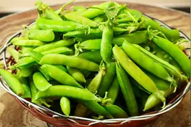 保存豌豆，有人焯水，有人直接放冰箱？教你小妙招，放一年都新鲜视频封面