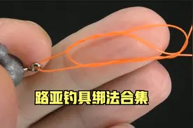 适合路亚新手的各种路亚钓具绑法视频封面