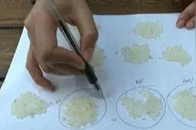 孩子作业数1万粒米，爸爸深夜致电老师：你别睡，我还在数米视频封面