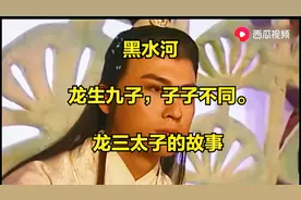 龙生九子-小白龙的故事视频封面