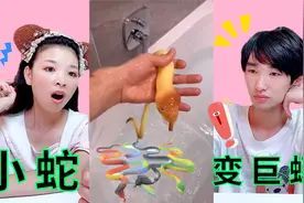 小蛇放水里泡72小时，能变“超大蟒蛇”？小熊泡7天后，变迷你蛇