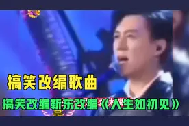 搞笑改编歌曲：靳东改编《人生如初见》视频封面