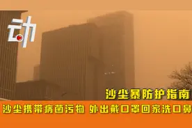 沙尘暴防护指南：沙尘携带病菌污物 外出戴口罩回家洗口鼻?视频封面