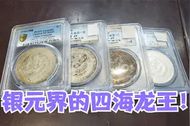 朋友借十万块钱拿银元抵利息，说是银元界四海龙王，看看都是啥？视频封面