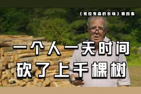 老头为了保护环境，居然狂砍上千棵树，这个农场究竟有多疯狂视频封面