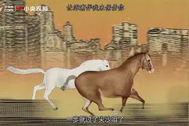 微视频｜以梦为马！视频封面