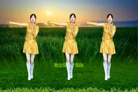 经典老歌DJ广场舞《摇太阳》最近很火