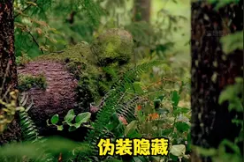 假如伪装隐藏有段位视频封面