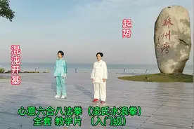 凌氏拳艺首次发布心意六合八法拳（水浪拳）全套教学片（入门级）视频封面
