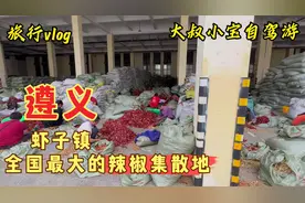 虾子镇，全国最大的辣椒集散地，吃碗钟家凉粉，听说羊肉粉也不错视频封面