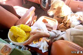 高速上堵了一天车，小情侣在车里煮起了玉米充饥，太饿了视频封面