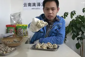 云南文山满泽三七头怎么打粉 在家怎样打成粉 不打粉又怎么吃好视频封面