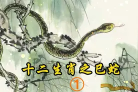 十二生肖之巳蛇！#知识分享#属蛇#故事会#属蛇的人视频封面