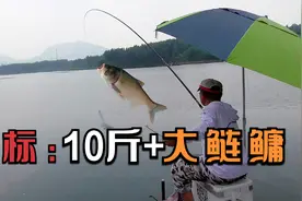这鱼是不是吃错了药，一个劲儿疯狂要线，拉得鱼线像小猪仔叫视频封面
