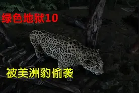 绿色地狱10 从房顶射下鹦鹉后，搜寻野人营地，却被美洲豹偷袭