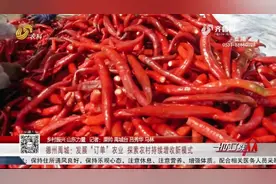 禹城流转土地发展“订单”农业,领租金还能打零工,村民家门口增收视频封面