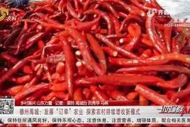 禹城流转土地发展“订单”农业,领租金还能打零工,村民家门口增收视频封面