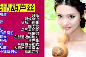 柔情葫芦丝：民族乐器葫芦丝演奏经典歌曲22首，太好听了视频封面