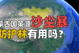 蒙古国已成沙尘暴策源地，中国“三北”防护林防沙治沙还有用吗？视频封面