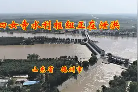 山东德州的四女寺水利枢纽正在泄洪
