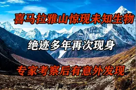 喜马拉雅山惊现神秘生物，绝迹多年再次现身，专家考察后有了答案