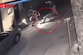 两男子按住猫让狗撕咬，橘猫致死，监控拍下现场画面视频封面