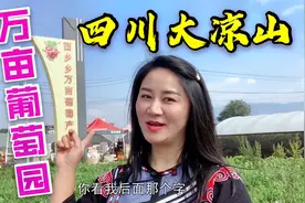 凉山西昌万亩葡萄基地,家家户户都种葡萄,3块钱一斤卖得很便宜？视频封面