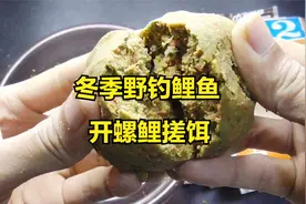 天冷鲤鱼不好钓？分享冬季螺鲤搓饵开法，野钓鲤鱼好用视频封面