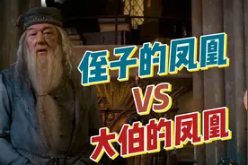 《哈利波特》邓布利多的凤凰，和克雷登斯的凤凰有三大区别视频封面