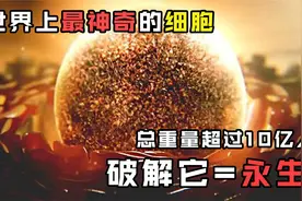 这个细胞永生不死，疯狂繁殖遍布全球，如今已重达500万吨！视频封面
