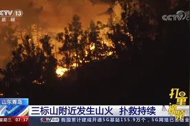 风力较大！青岛三标山附近发生山火，扑救工作仍在进行视频封面