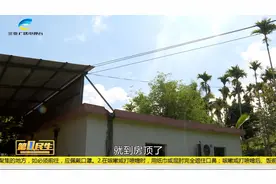高压线悬在三亚一村民家房顶  迁移费用谁来出视频封面