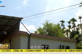 高压线悬在三亚一村民家房顶  迁移费用谁来出视频封面