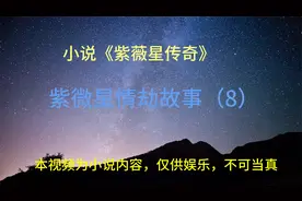 紫微星情劫故事（8）视频封面