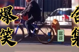 搞笑：大爷，您家的狗骑车的技术有点高啊视频封面