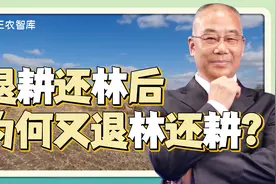 承包地都种树了退林还耕咋办？孔祥智：农民心中有这条红线才不亏视频封面