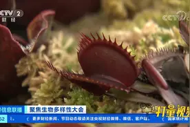 记者探访昆明“扶荔宫”，带你穿越植物王国|经济信息联播视频封面
