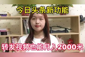 今日头条新功能，转发视频也能月入2000，新手朋友来看看吧