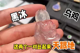 黑冰和乌鸡，到底哪个更好一点呢？视频封面